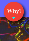 Why?